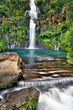 Bassin des Aigrettes, La Réunion