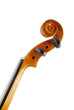 Violin isolated on white background