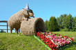 Schwein aus Stroh auf Wiese mit Begonien - Pig And Begonias