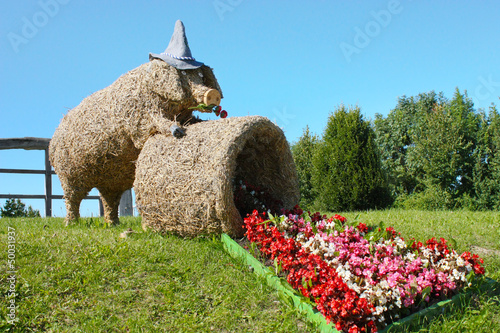 Photo: Schwein aus Stroh auf Wiese mit Begonien - Pig And Begonias Schwein aus Stroh auf Wiese mit Begonien - Pig And Begonias