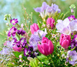 Frühlingserwachen: Blütentraum in lila und pink