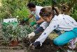 Photo: jardinage entre père et fille jardinage entre père et fille