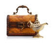 chest and aladin lamp