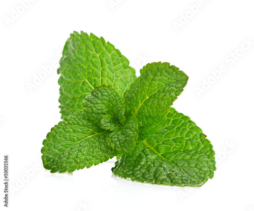 Photo: Fresh mint close up on white Fresh mint close up on white
