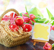 Frohe Ostern!