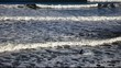 Video: surfing at saltburn uk surfing at saltburn uk