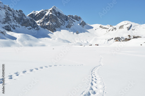 Photo: Footsteps on the snow. Melchsee-Frutt, Switzerland Footsteps on the snow. Melchsee-Frutt, Switzerland