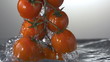 Tomato and splash water