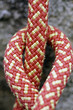 Figure of Eight Knot 3