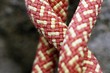Figure of Eight Knot 2