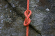 Figure of Eight Knot 1