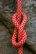 Figure of Eight Knot 4