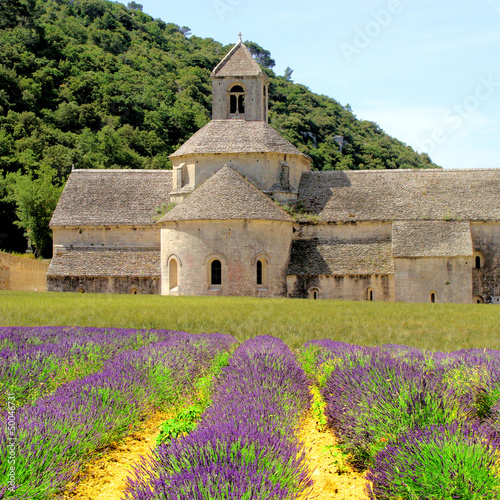 Photo: Senanque Abbey in Provence, France with lavender flowers Senanque Abbey in Provence, France with lavender flowers