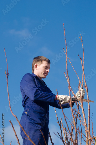 Photo: Man pruning branches with the saw Man pruning branches with the saw