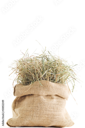 Photo: Foin Foin