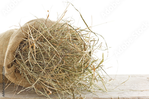 Photo: Foin Foin