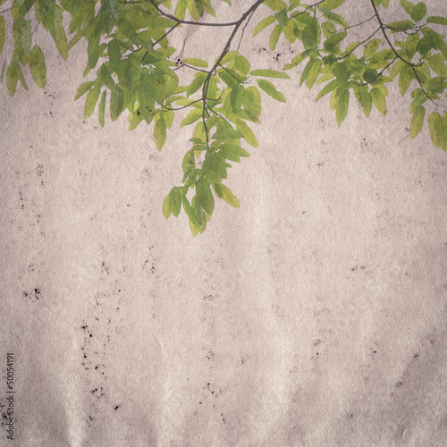 Photo: old grunge paper texture old grunge paper texture
