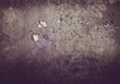 aged wall