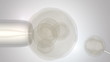 Removing of an egg under microscope