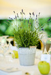 Wedding decoration