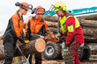 Motorsägenkurs - Ausbildung