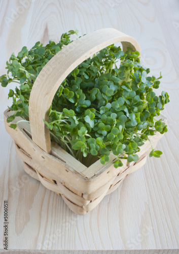 Photo: Watercress, healthy eating, spring, kitchen table. Watercress, healthy eating, spring, kitchen table.