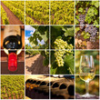 Foto: Collage vigne et vins Collage vigne et vins