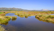 Foto: San Teodoro pond San Teodoro pond