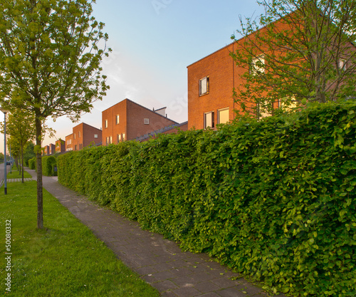 Photo: urban street with pavement and hedgerow urban street with pavement and hedgerow