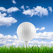 golf ball on tee