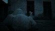 Art Dark Horror Scene