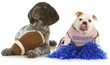 sports hounds