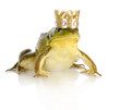 Photo: handsome prince handsome prince