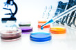 Pipette with drop of color liquid and petri dishes
