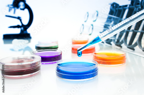 Photo: Pipette with drop of color liquid and petri dishes Pipette with drop of color liquid and petri dishes