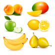 Big set of fresh fruit. Vector