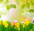 Frühlingserwachen
