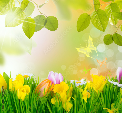 Photo: Frühlingserwachen Frühlingserwachen