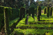 Maze at Real Alcazar Gardens in Seville Spain