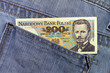 Polnische Zloty