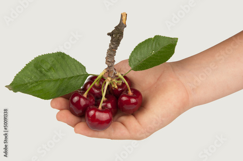 Photo: Cherries Cherries