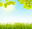 spring