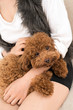 Sweet puppy