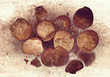 grunge broken egg shells