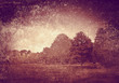 textured woods