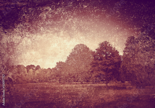 Photo: textured woods textured woods