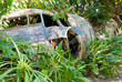 Abandoned crashed plane in Kuranda, Australia