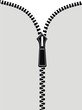 Zip ~ Zipp ~ Reißverschluss ~ Zipper
