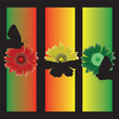 flowers and butterfly