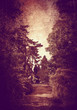 woodland path on textured background